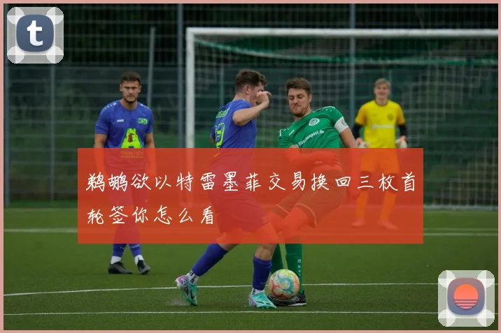 鹈鹕欲以特雷墨菲交易换回三枚首轮签你怎么看