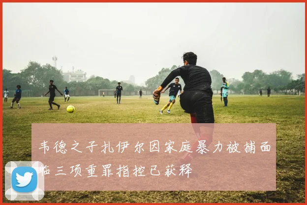 韦德之子扎伊尔因家庭暴力被捕面临三项重罪指控已获释
